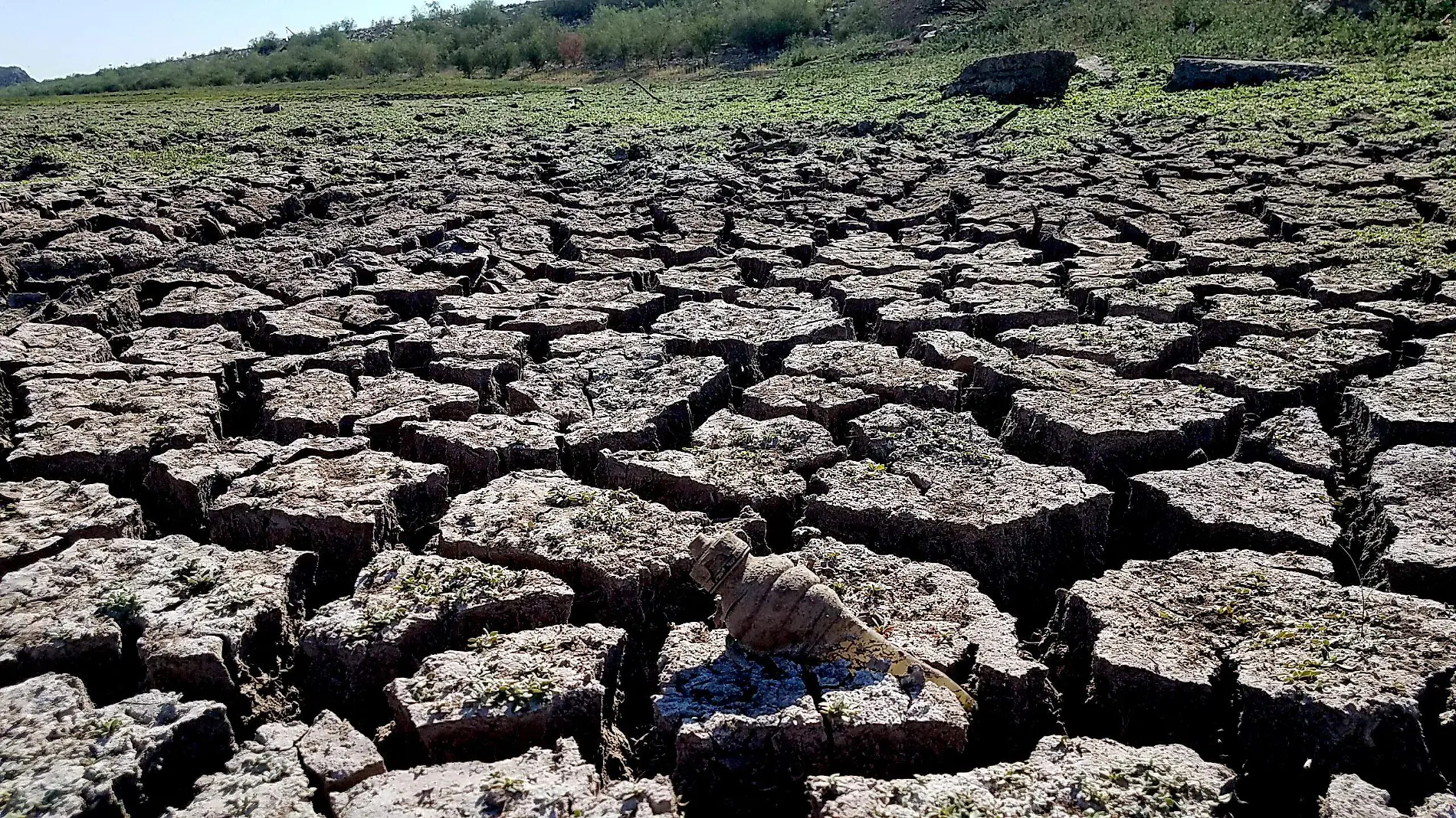 Cambio Climatico-Carlos Villalba (48)